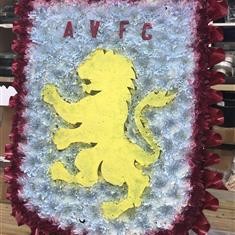 Aston Villa Football Shield