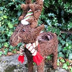 Christmas Standing Reindeer Planter 