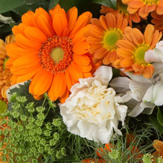 Florist&#39;s Choice Posy Dish Arrangement