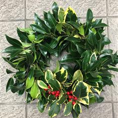 Fresh Holly Wreath
