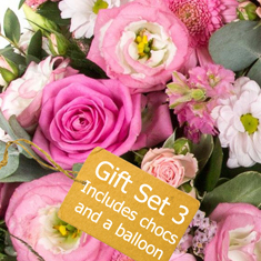 Gift Set 3 - Florist Choice Seasonal Arrangement