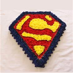 Superman Tribute