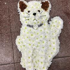 Cat Tribute