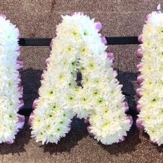 Nan letters edged in pale blue