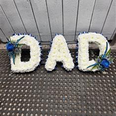 DAD 31-10-2025 14 23 14